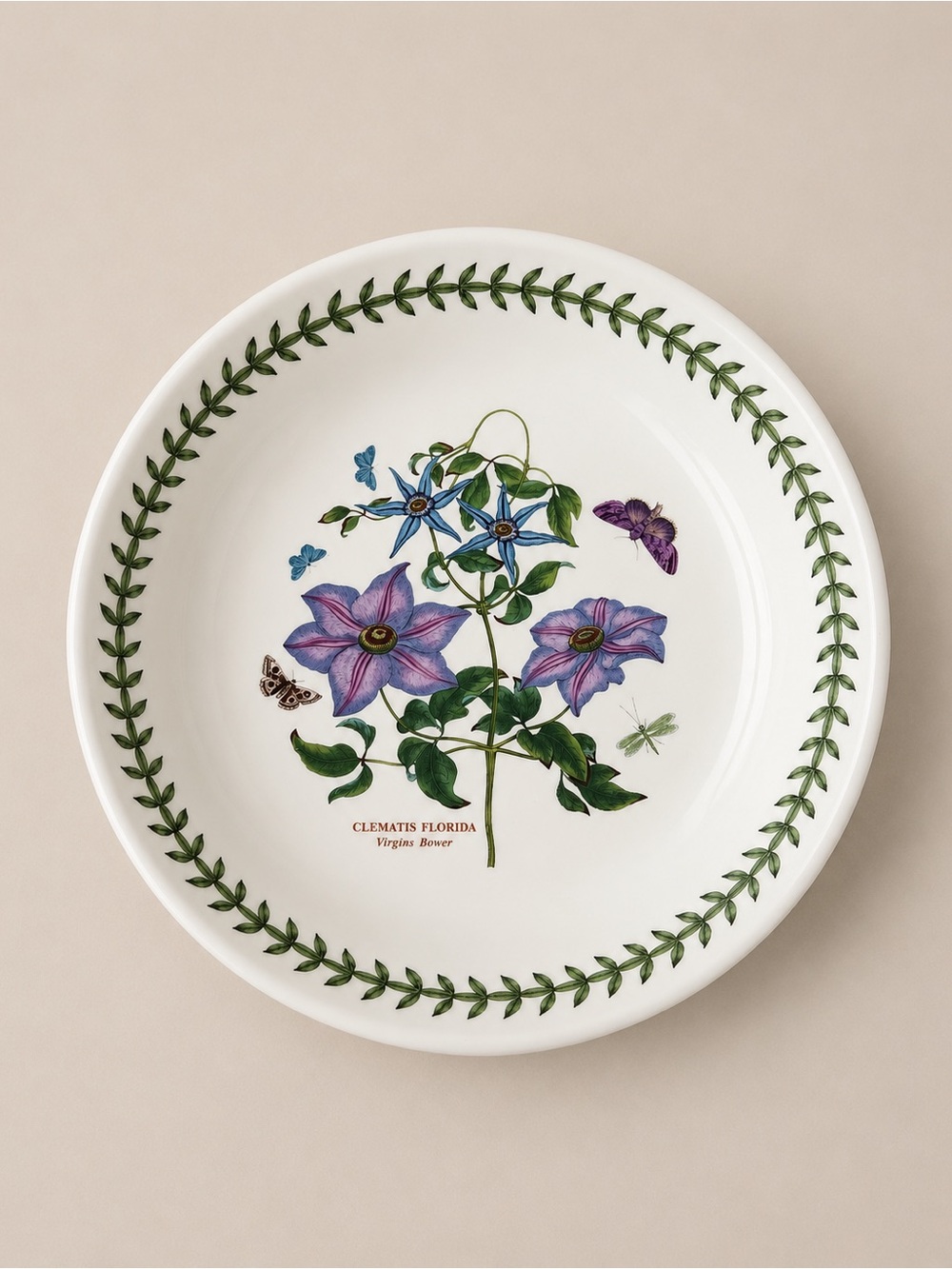 Portmeirion Botanic Garden Clematis Florida Virgin’s Bower 10.5” Pasta Bowl